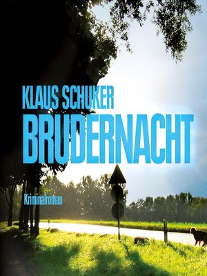 cover image of Brudernacht (Ungekürzt)